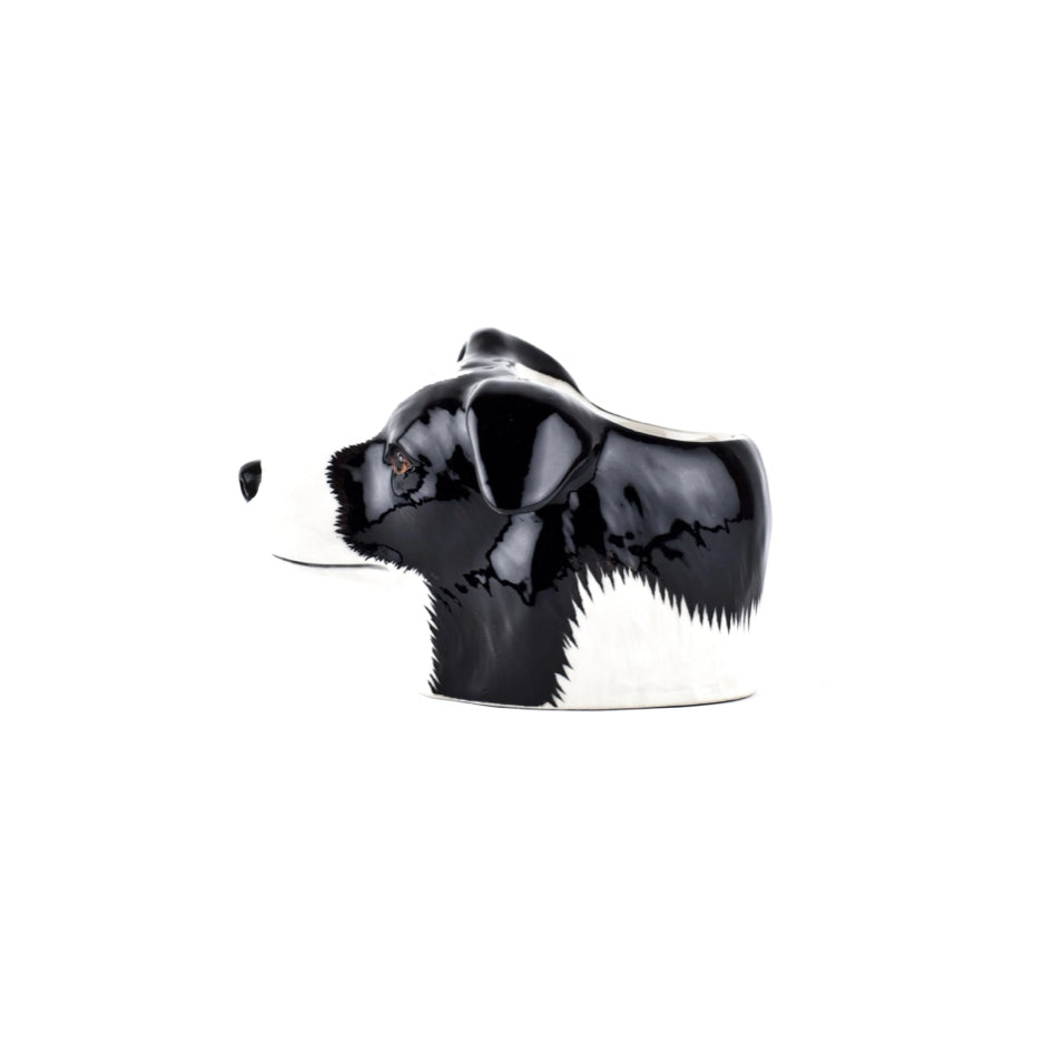 Afbeelding van een Border Collie van het merk Quail Ceramics - SuperMatique