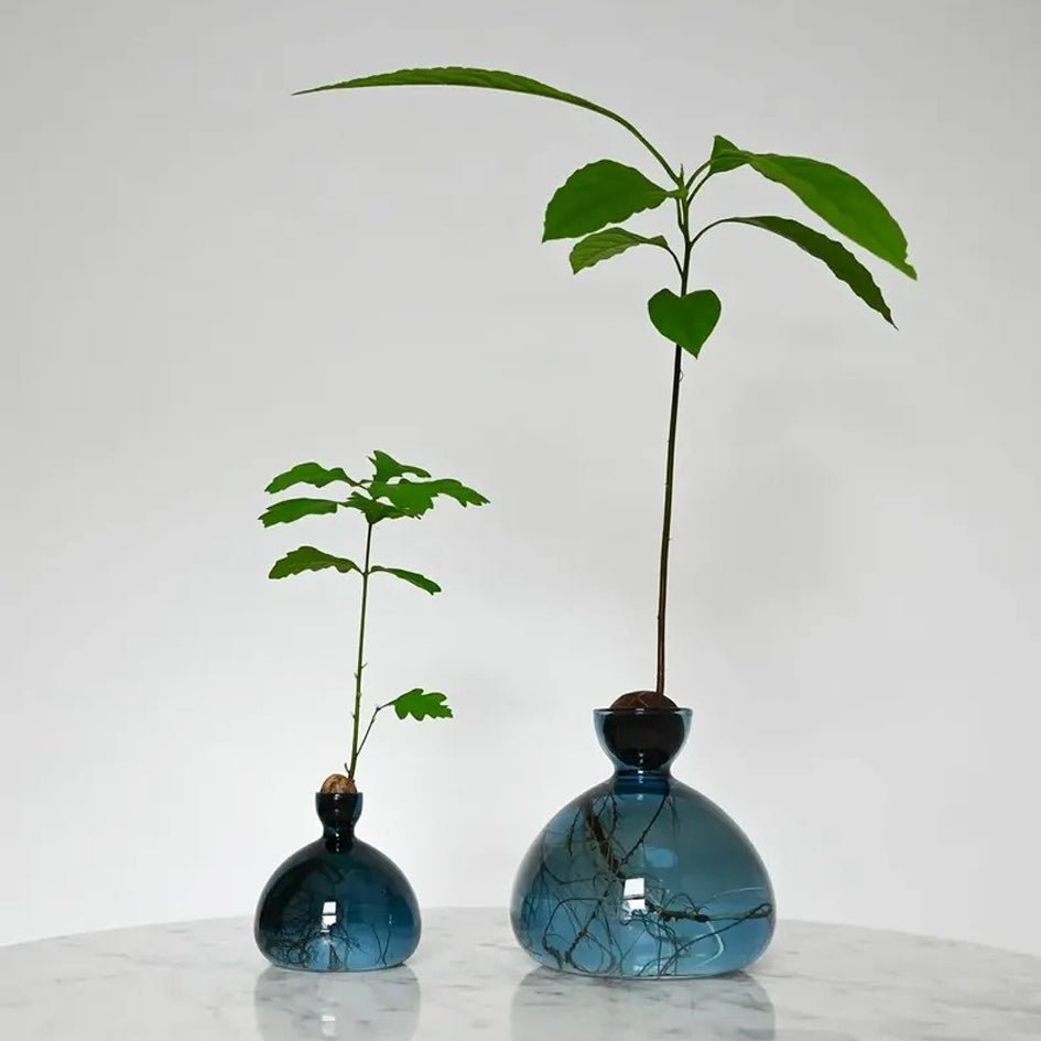 Avocado Vaas Glas Blauwgroen - SuperMatique - SuperMatique