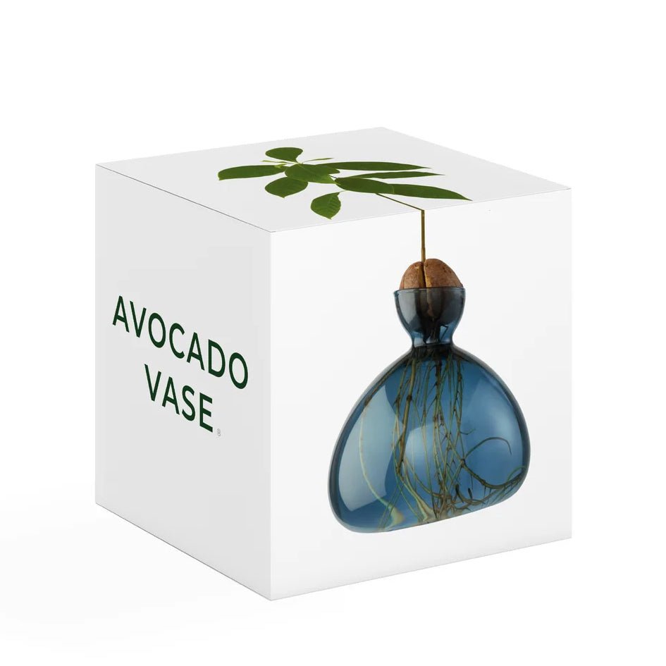 Avocado Vaas Glas Blauwgroen - SuperMatique - SuperMatique