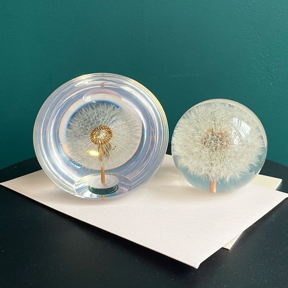 Halve Paardenbloem Presse - papier (groot) - Hafod Grange - SuperMatique