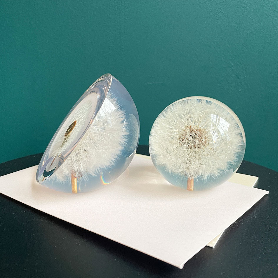 Halve Paardenbloem Presse - papier (groot) - Hafod Grange - SuperMatique