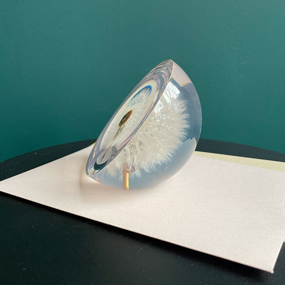 Halve Paardenbloem Presse - papier (groot) - Hafod Grange - SuperMatique