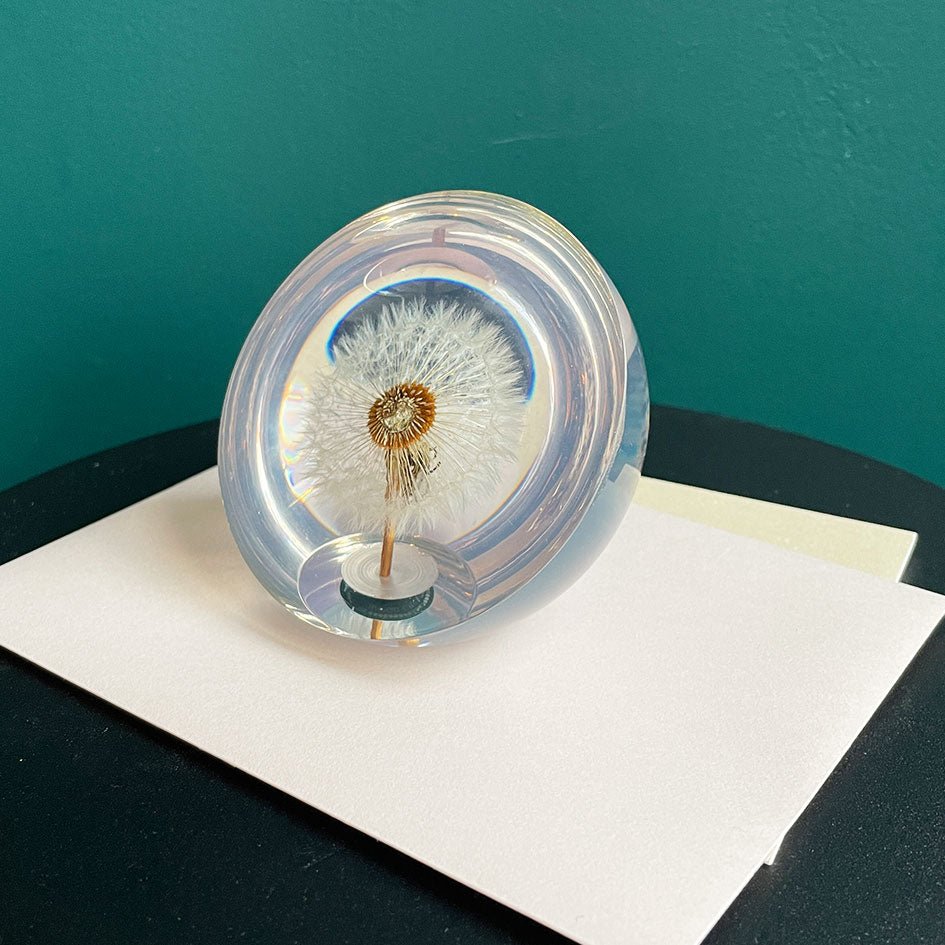 Halve Paardenbloem Presse - papier (groot) - Hafod Grange - SuperMatique