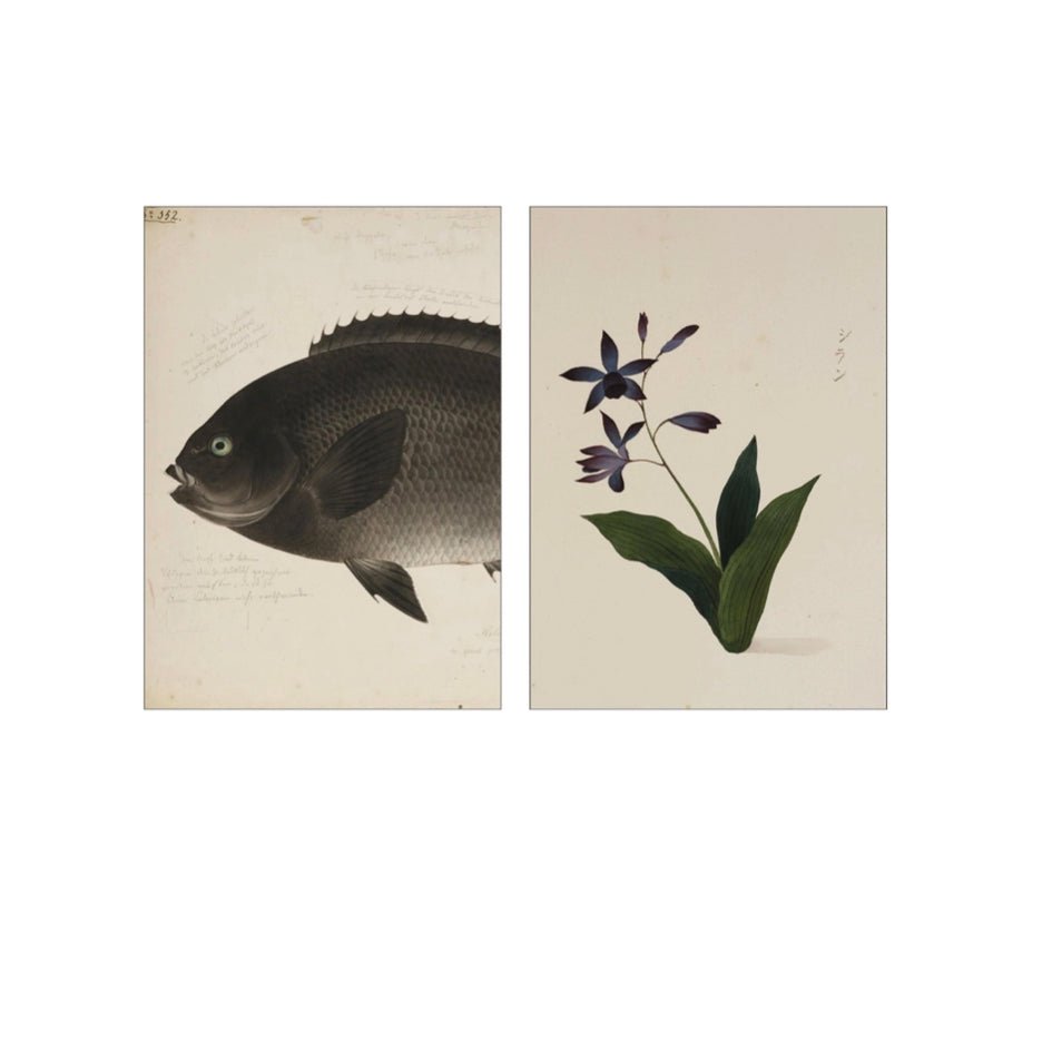 Keramiek Wandtegel Collage Naturalis - Collectie - The Vulcano - Lylies - SuperMatique