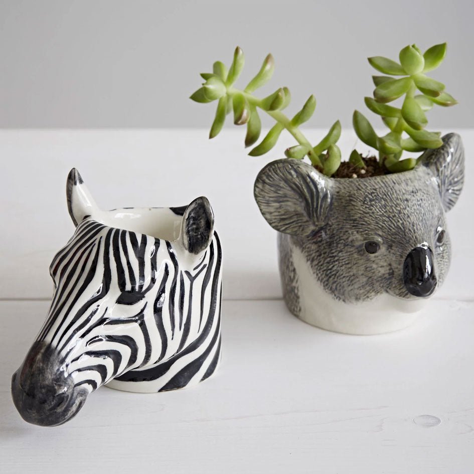 Koala Eierdopje - Quail Ceramics - SuperMatique