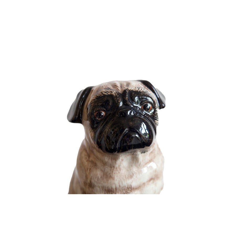 Mopshond Spaarpot - Quail Ceramics - SuperMatique