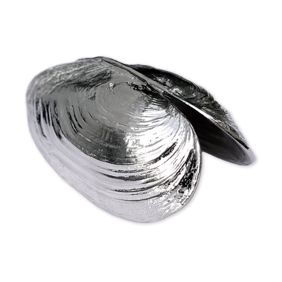 Mosselschep - ANOVI - SuperMatique