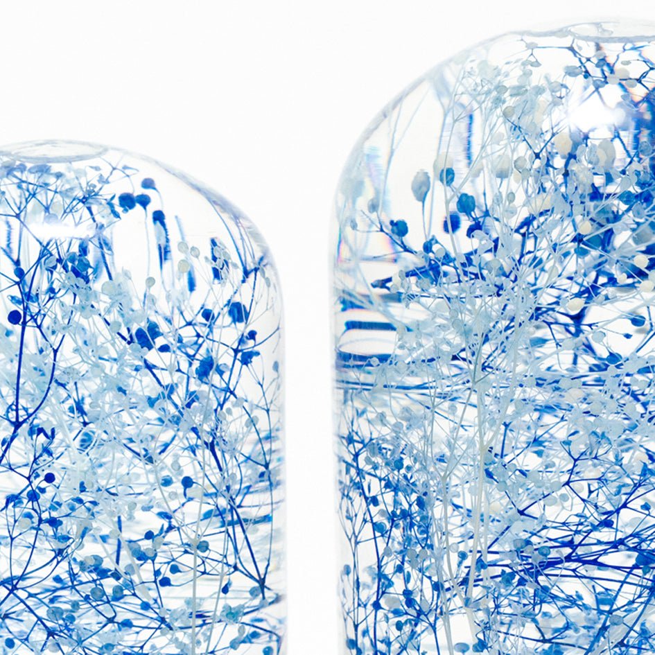 'Pieces Of Time' Herbarium / Presse - Papier 'Blue Wave' - Style Jieum - SuperMatique