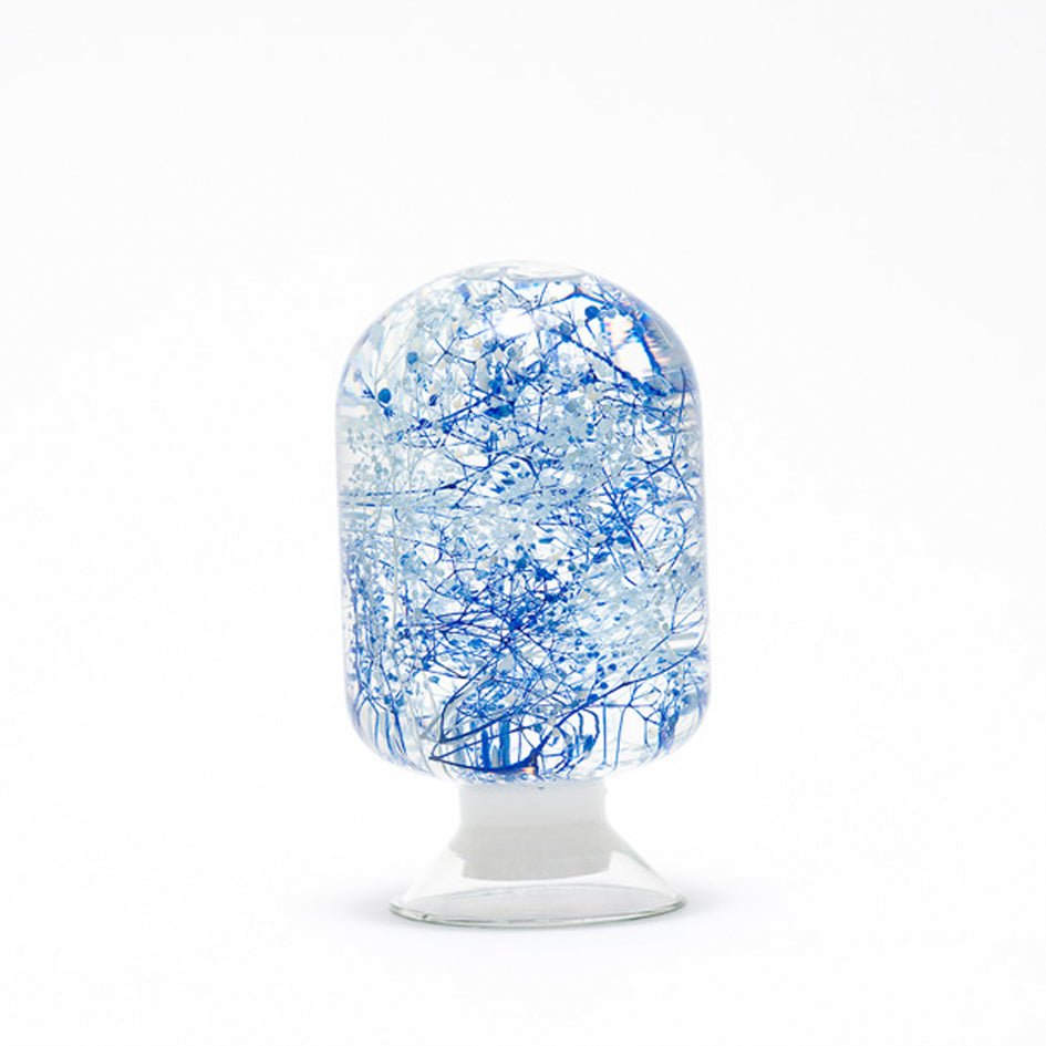 'Pieces Of Time' Herbarium / Presse - Papier 'Blue Wave' - Style Jieum - SuperMatique