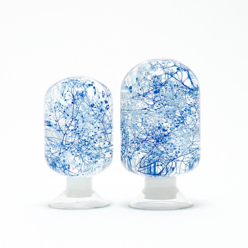 'Pieces Of Time' Herbarium / Presse - Papier 'Blue Wave' - Style Jieum - SuperMatique