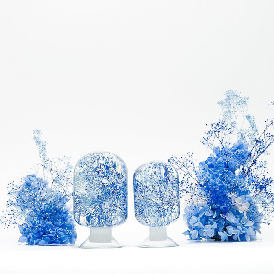 'Pieces Of Time' Herbarium / Presse - Papier 'Blue Wave' - Style Jieum - SuperMatique