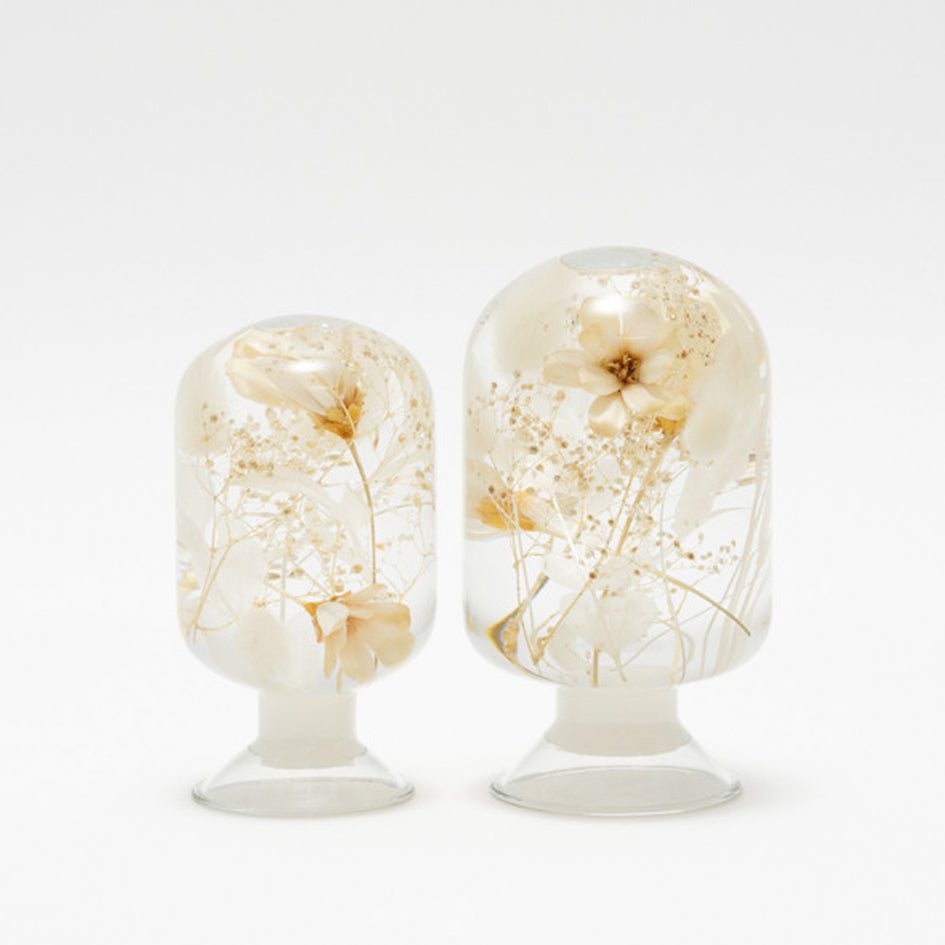 'Pieces Of Time' Herbarium / Presse - Papier 'Pure Daisy' - Style Jieum - SuperMatique