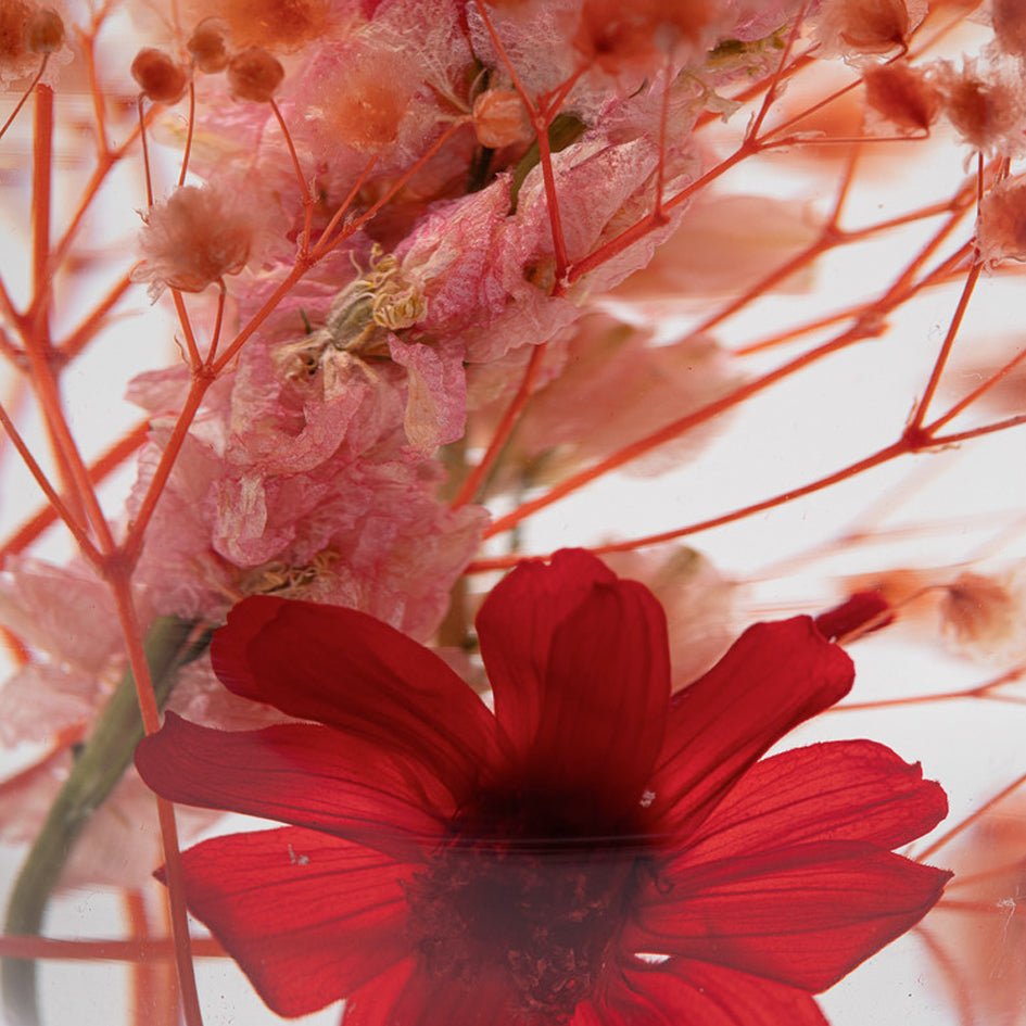 'Pieces Of Time' Herbarium / Presse - Papier 'Red Zinnia' - Style Jieum - SuperMatique