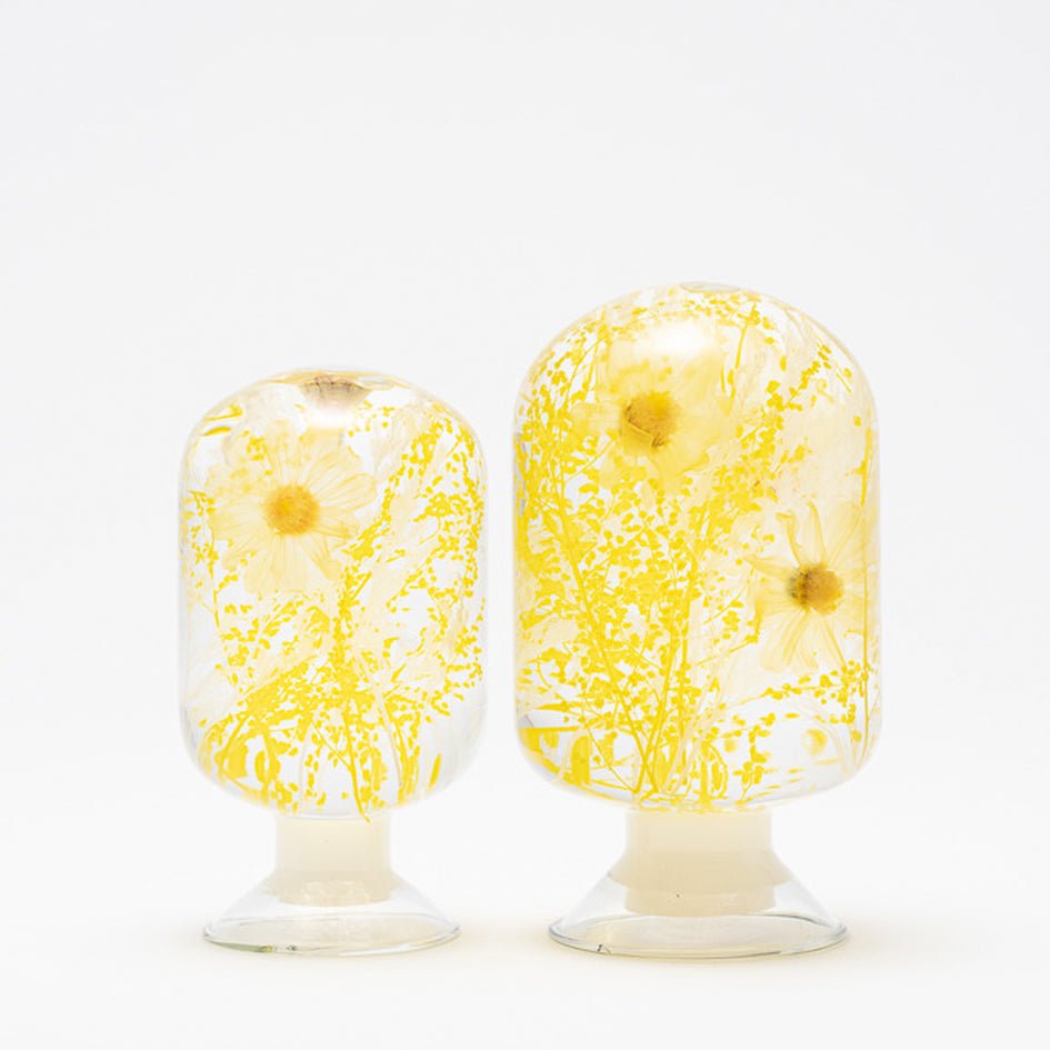 'Pieces Of Time' Herbarium / Presse - Papier 'Spring Blossom' - Style Jieum - SuperMatique