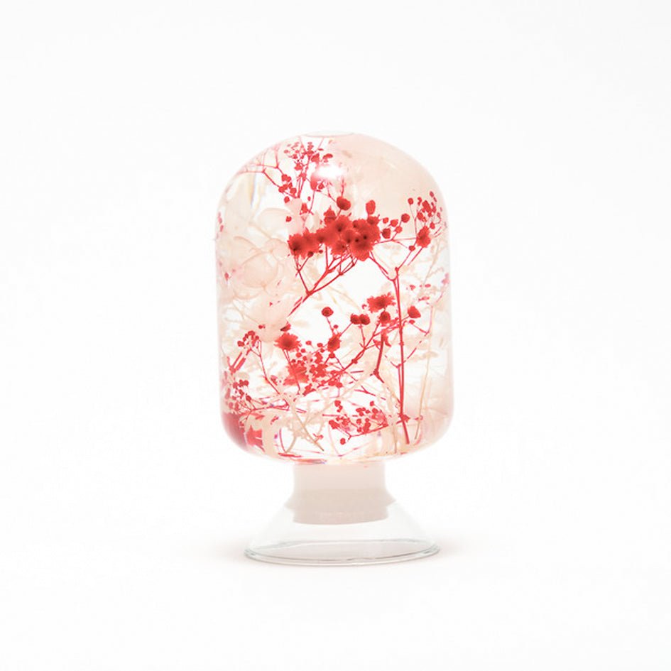 'Pieces Of Time' Herbarium / Presse - Papier 'Wild Bloom' - Style Jieum - SuperMatique