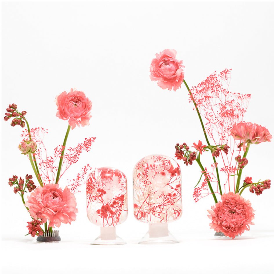 'Pieces Of Time' Herbarium / Presse - Papier 'Wild Bloom' - Style Jieum - SuperMatique