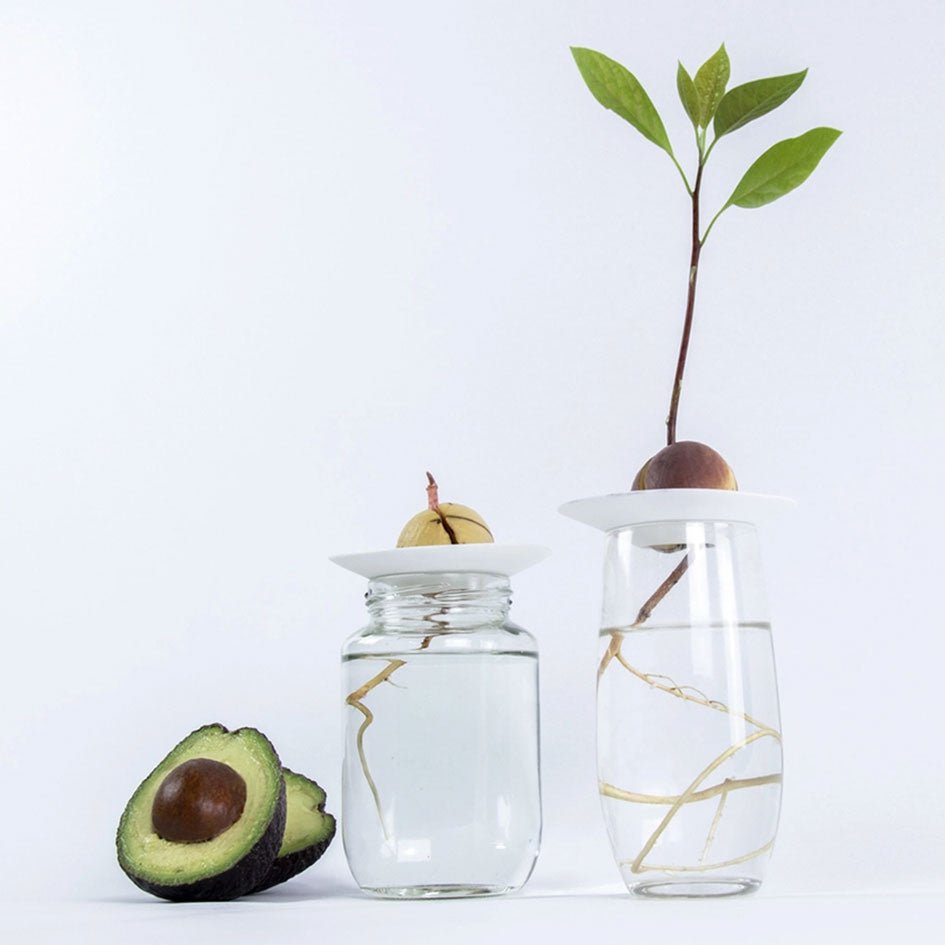 Porseleinen Kiemplaatje - Botanopia - SuperMatique