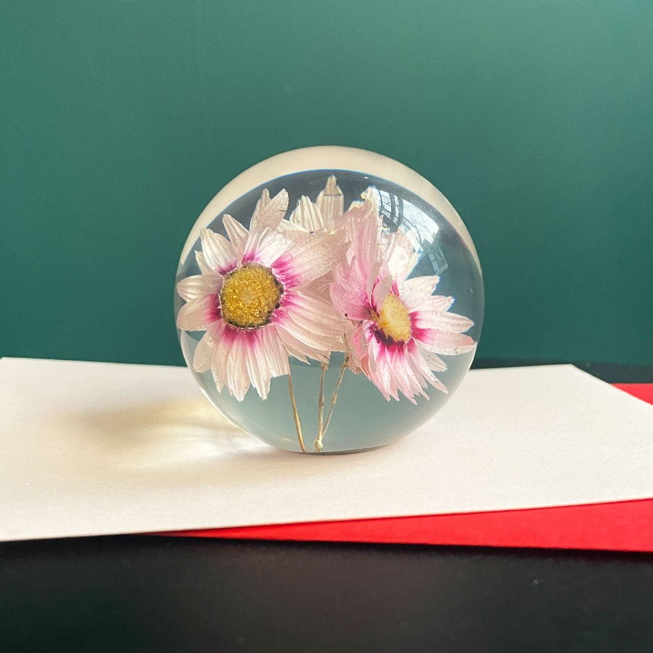 Rhodanthe Presse - papier - SuperMatique