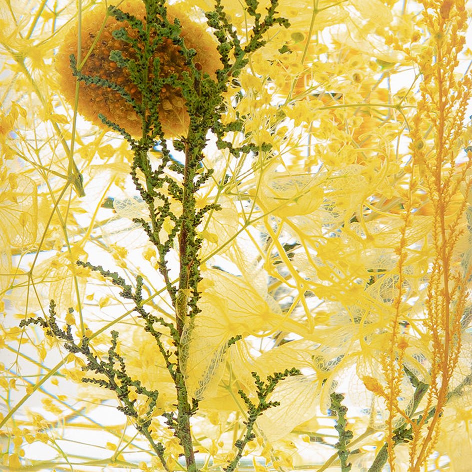 Summer of Jeju Herbarium Presse - Papier - Style Jieum - SuperMatique