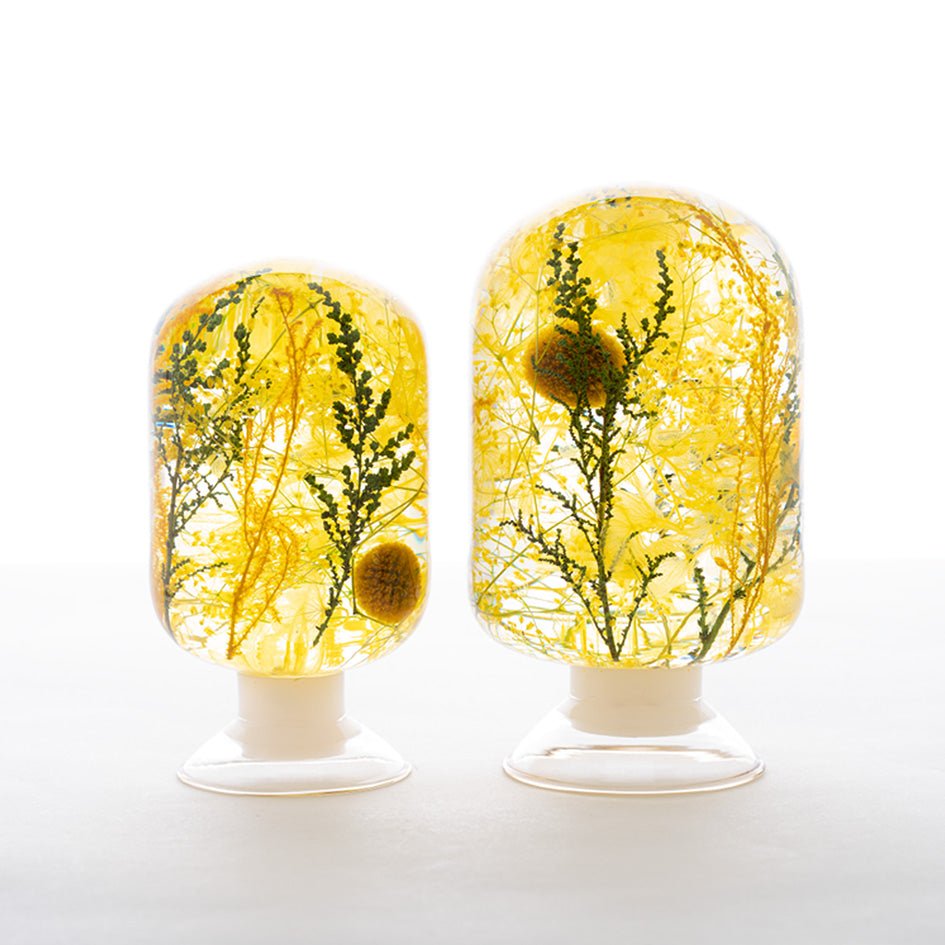 Summer of Jeju Herbarium Presse - Papier - Style Jieum - SuperMatique