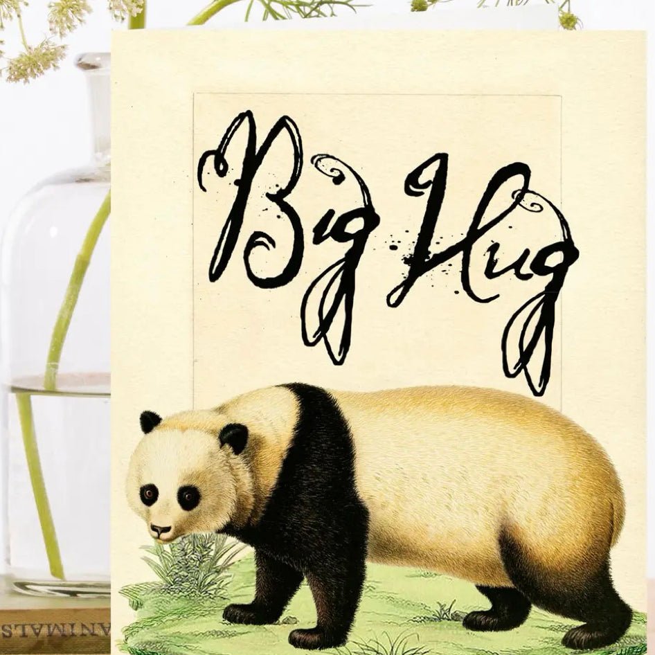 Wenskaart 'Bear Hug' - Madame Treacle - SuperMatique