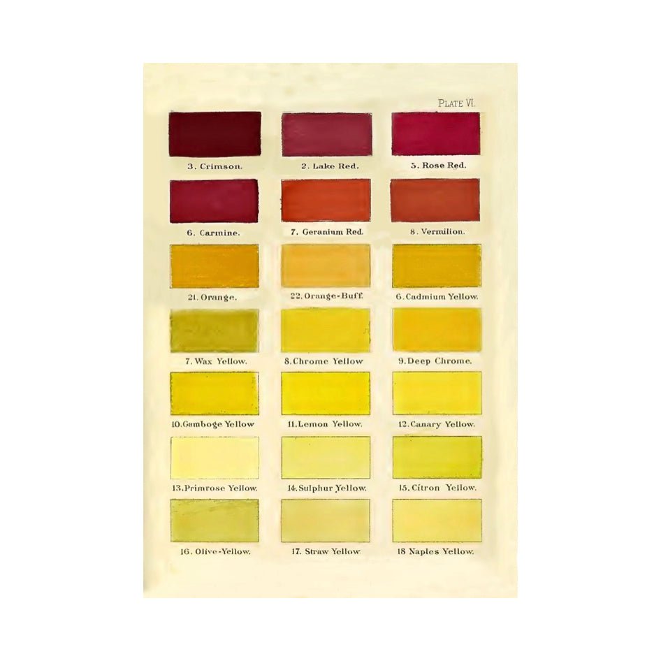 Wenskaart 'Colour Chart No:2' - Madame Treacle - SuperMatique