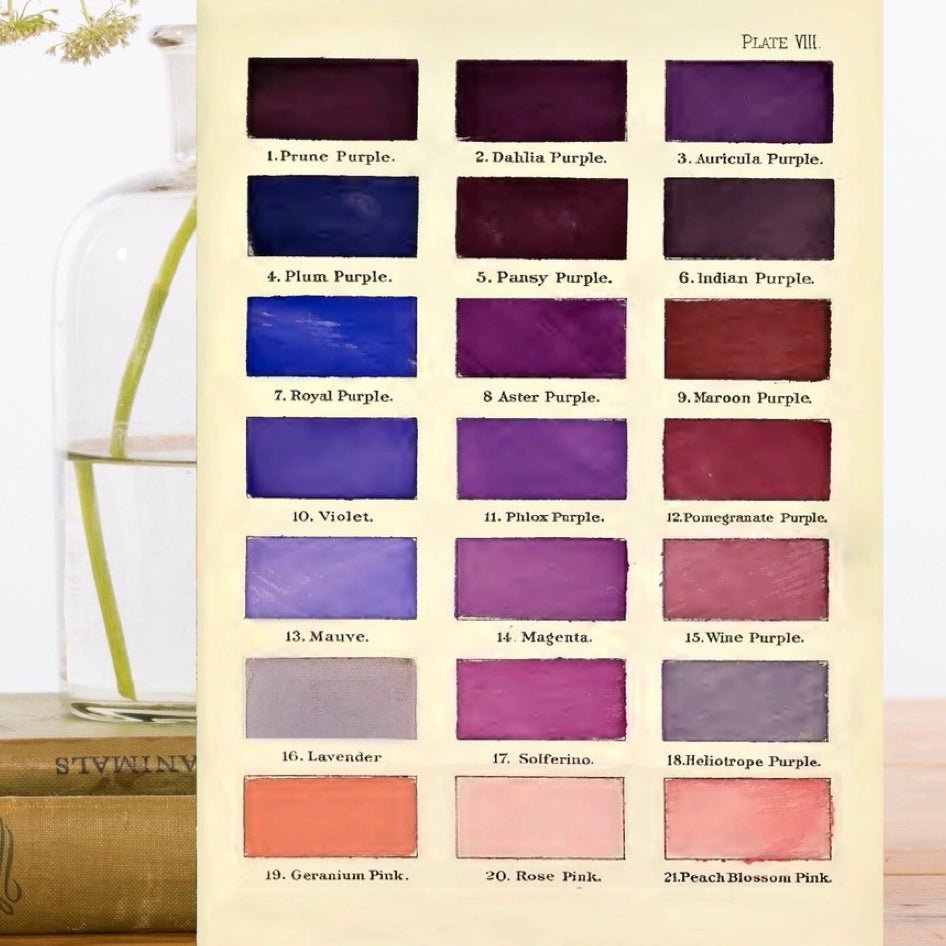 Wenskaart 'Colour Chart No:3' - Madame Treacle - SuperMatique