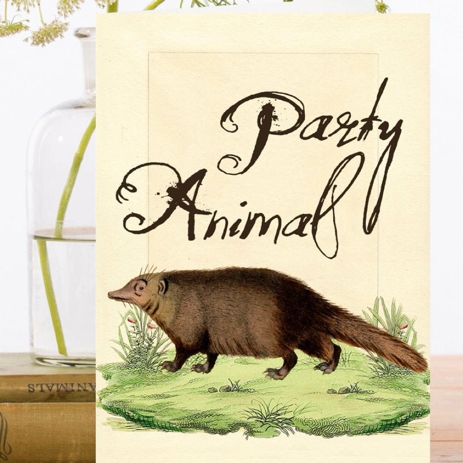 Wenskaart 'Eyelashes' - Madame Treacle - SuperMatique