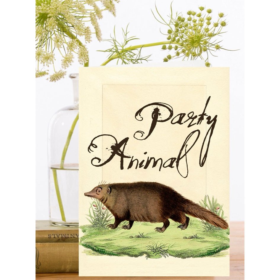 Wenskaart 'Eyelashes' - Madame Treacle - SuperMatique