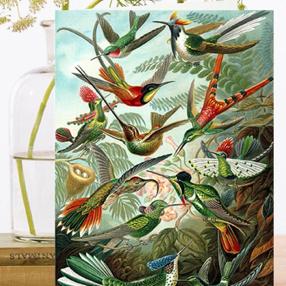 Wenskaart 'Hummingbirds' - Madame Treacle - SuperMatique