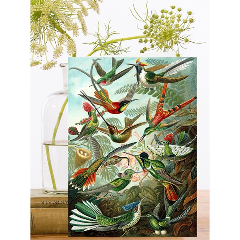 Wenskaart 'Hummingbirds' - Madame Treacle - SuperMatique