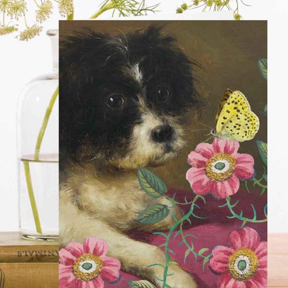 Wenskaart 'Mr Fluff' - Madame Treacle - SuperMatique