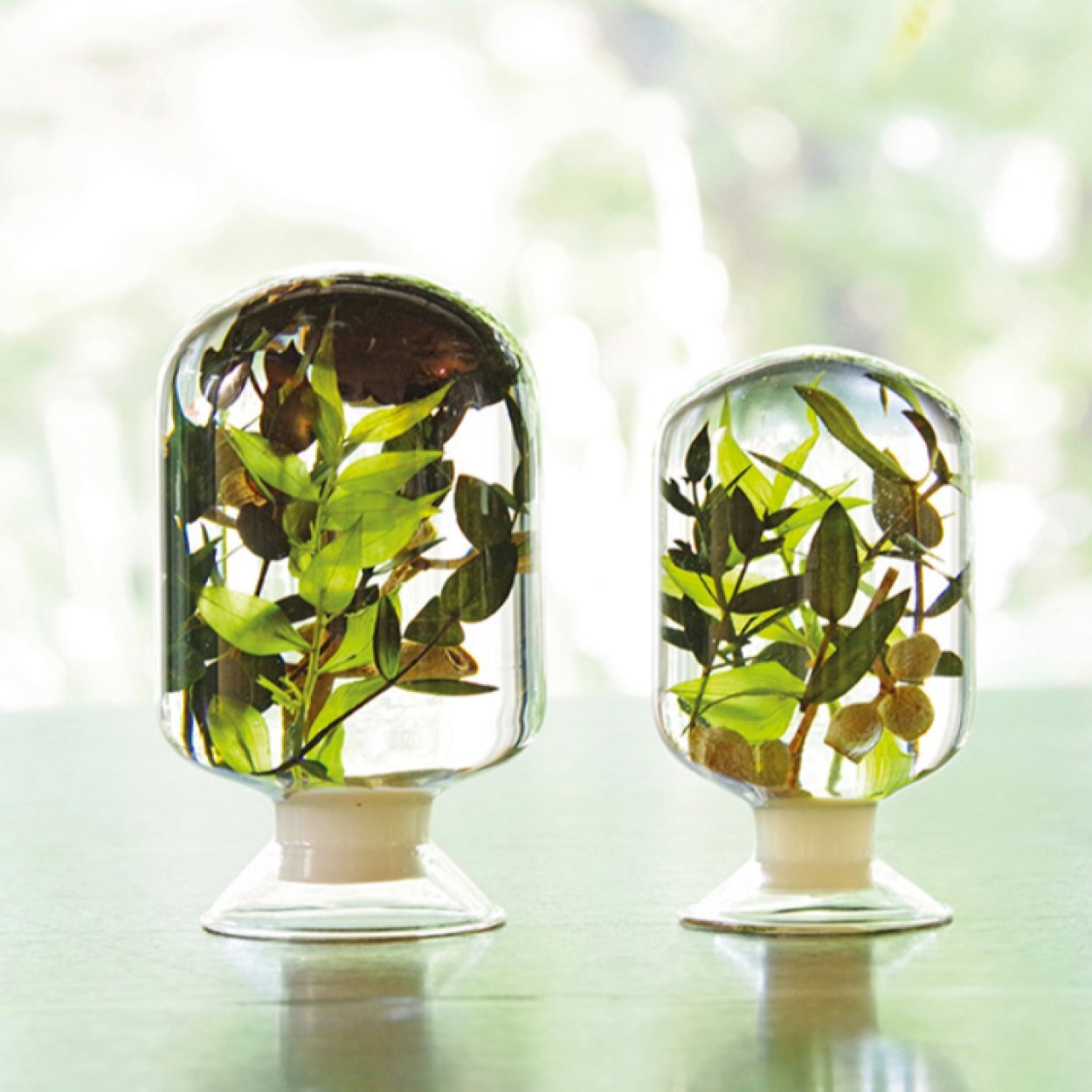 Black Forest Herbarium - SuperMatique