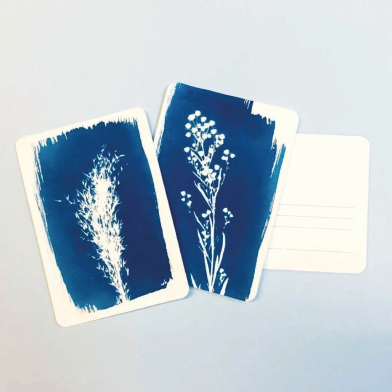 Cyanotype kit Postcard - SuperMatique