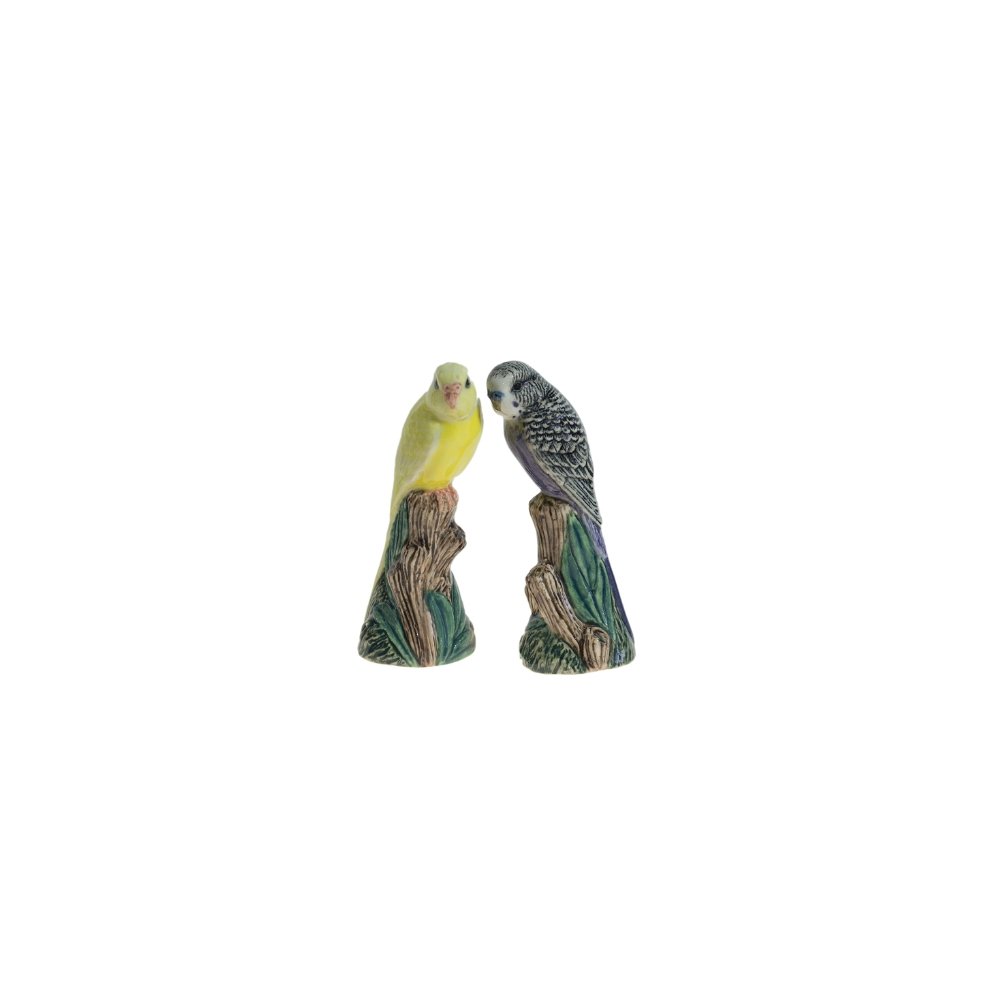 Grasparkiet geel paars Peper en Zout - SuperMatique