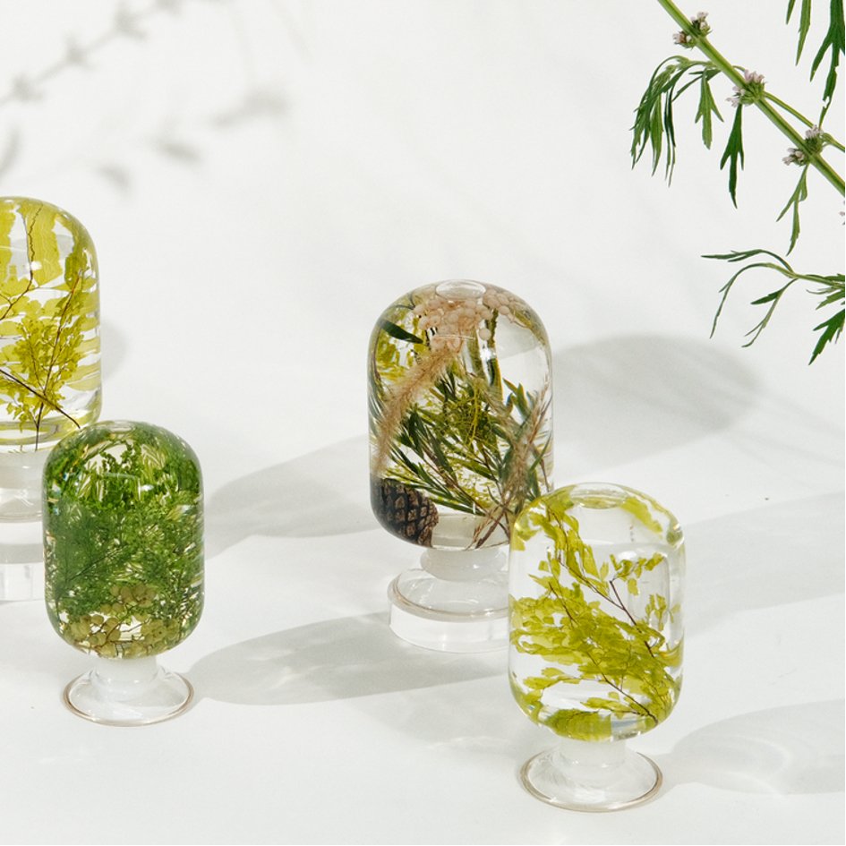 Groene Woud Herbarium Presse-Papier - SuperMatique