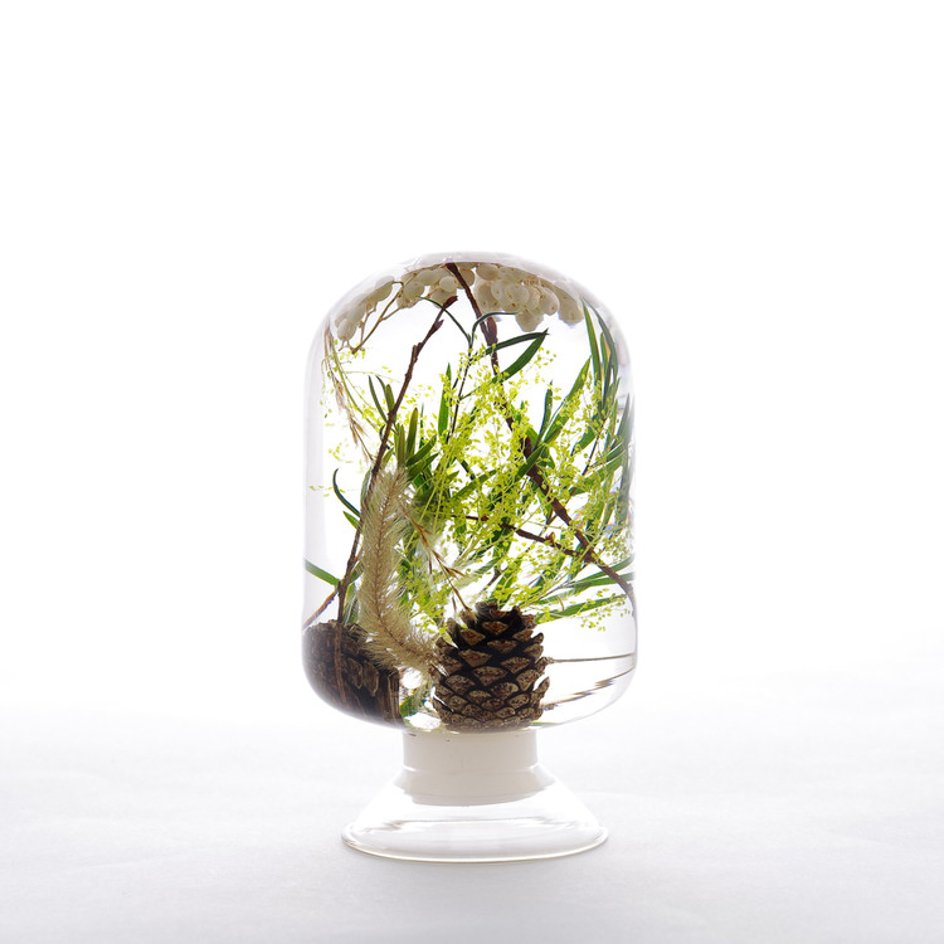 Groene Woud Herbarium Presse-Papier - SuperMatique