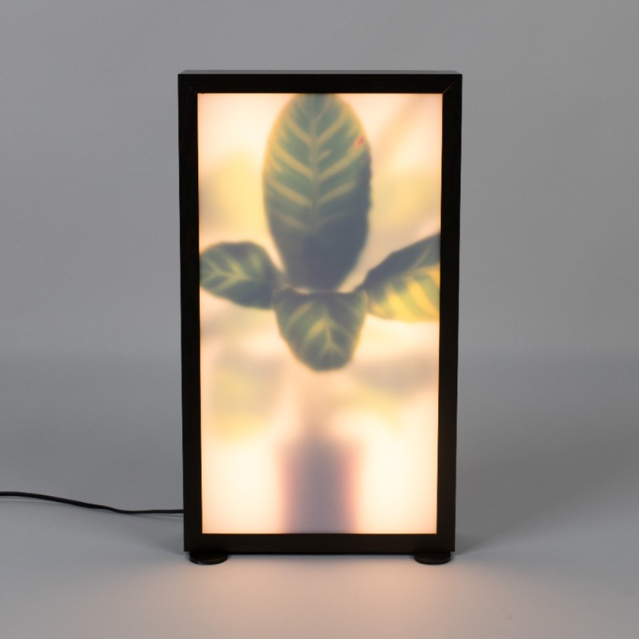 Grow Vloerlamp M - SuperMatique