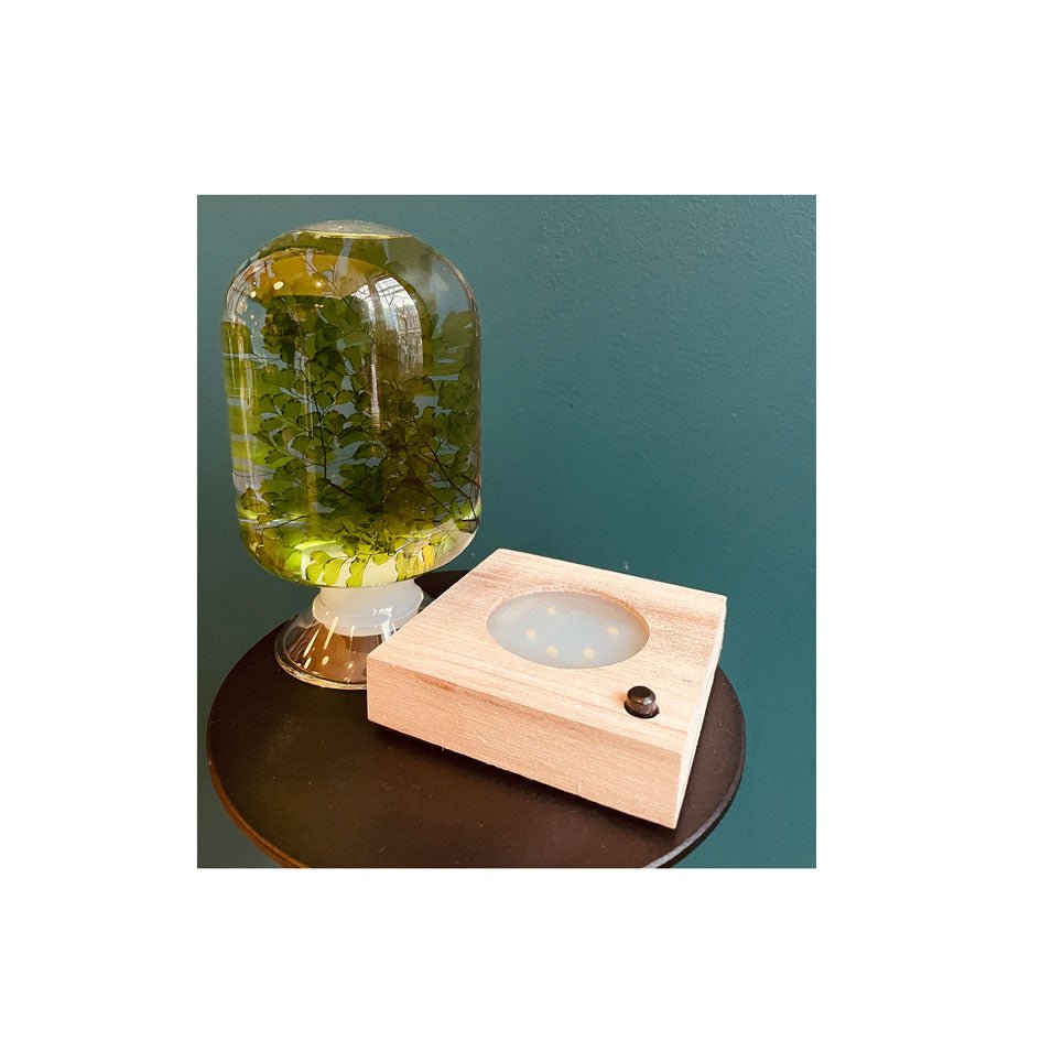 LED-Lampje voor Herbarium Presse-Papiers - SuperMatique