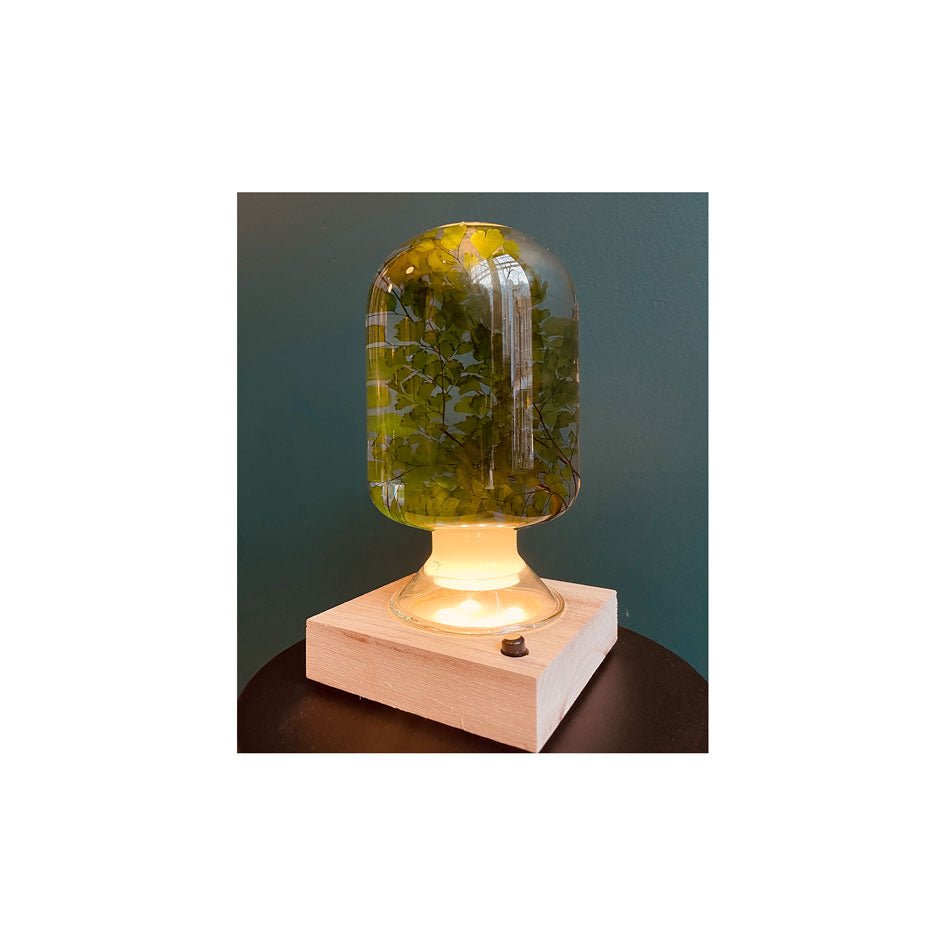 LED-Lampje voor Herbarium Presse-Papiers - SuperMatique