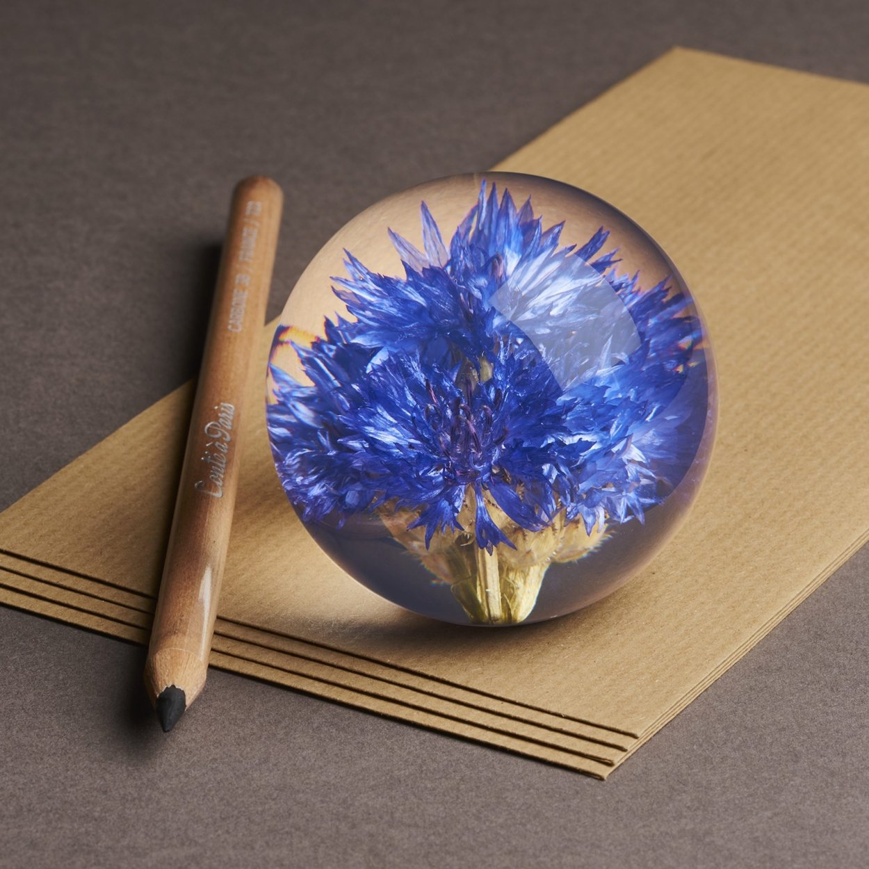 Presse-papier - Korenbloem - SuperMatique