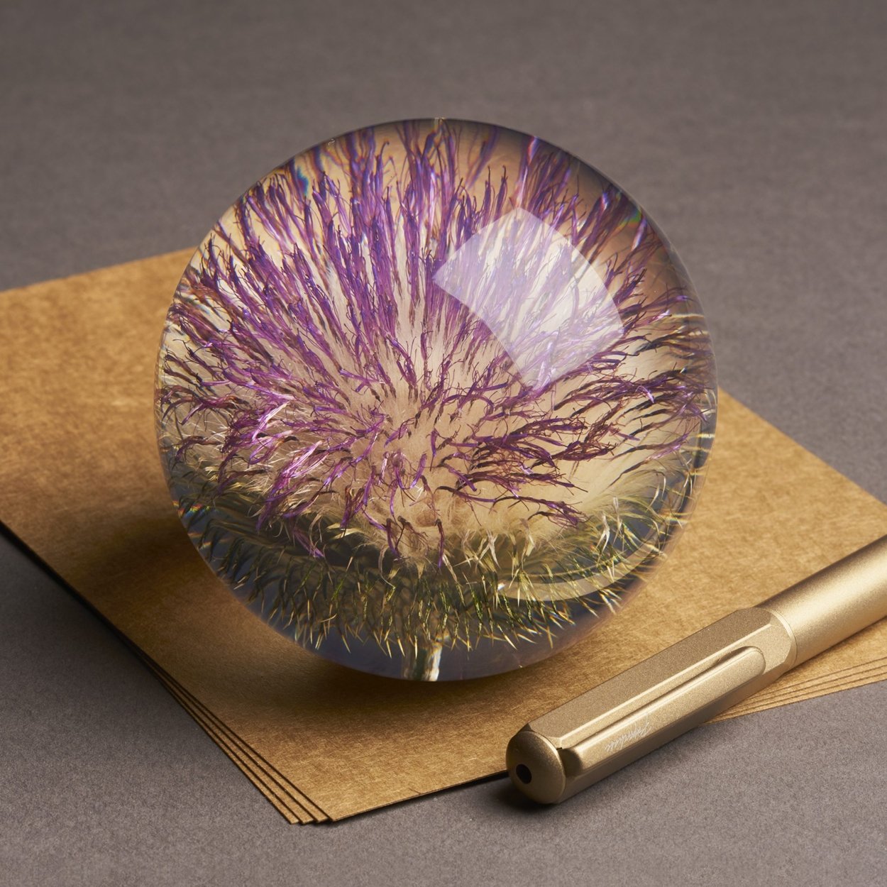 Presse-papier - Open Speerdistel - SuperMatique