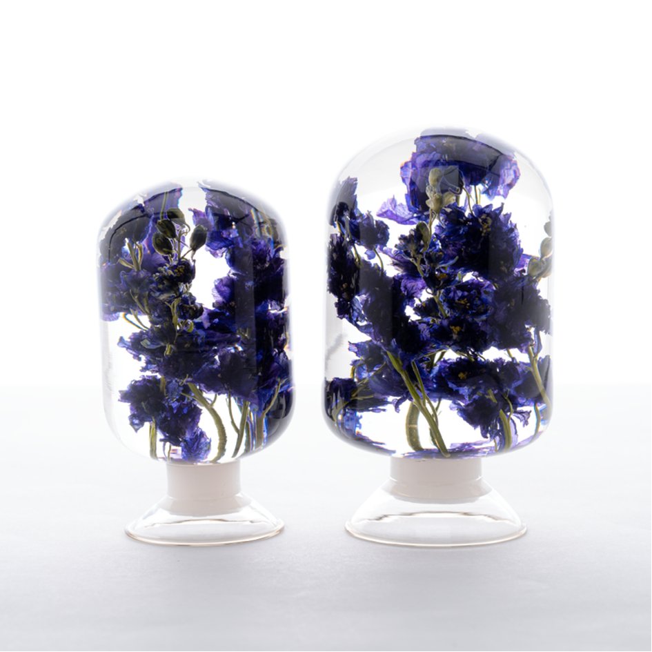 Ridderspoor Herbarium Presse-Papier - SuperMatique