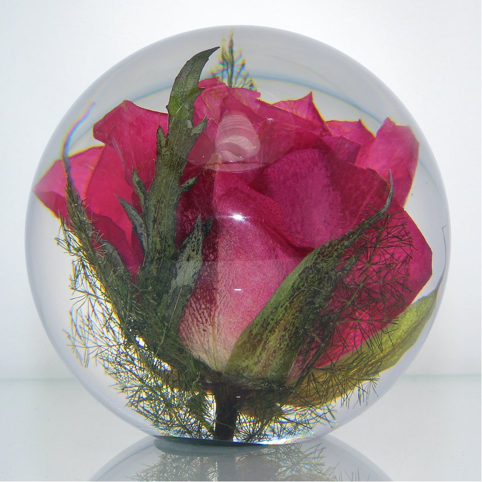 Rode Roos Presse-papier - SuperMatique