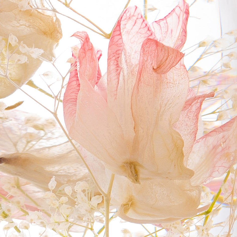 Roze Orchidee Herbarium Presse-Papier - SuperMatique