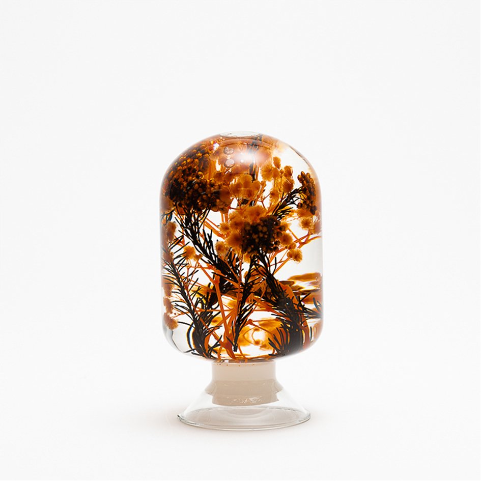 Sunrise Blossom Herbarium Presse-Papier - SuperMatique