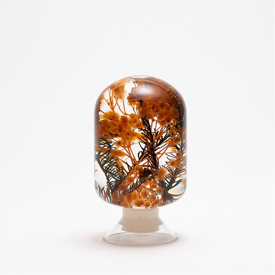 Sunrise Blossom Herbarium Presse-Papier - SuperMatique