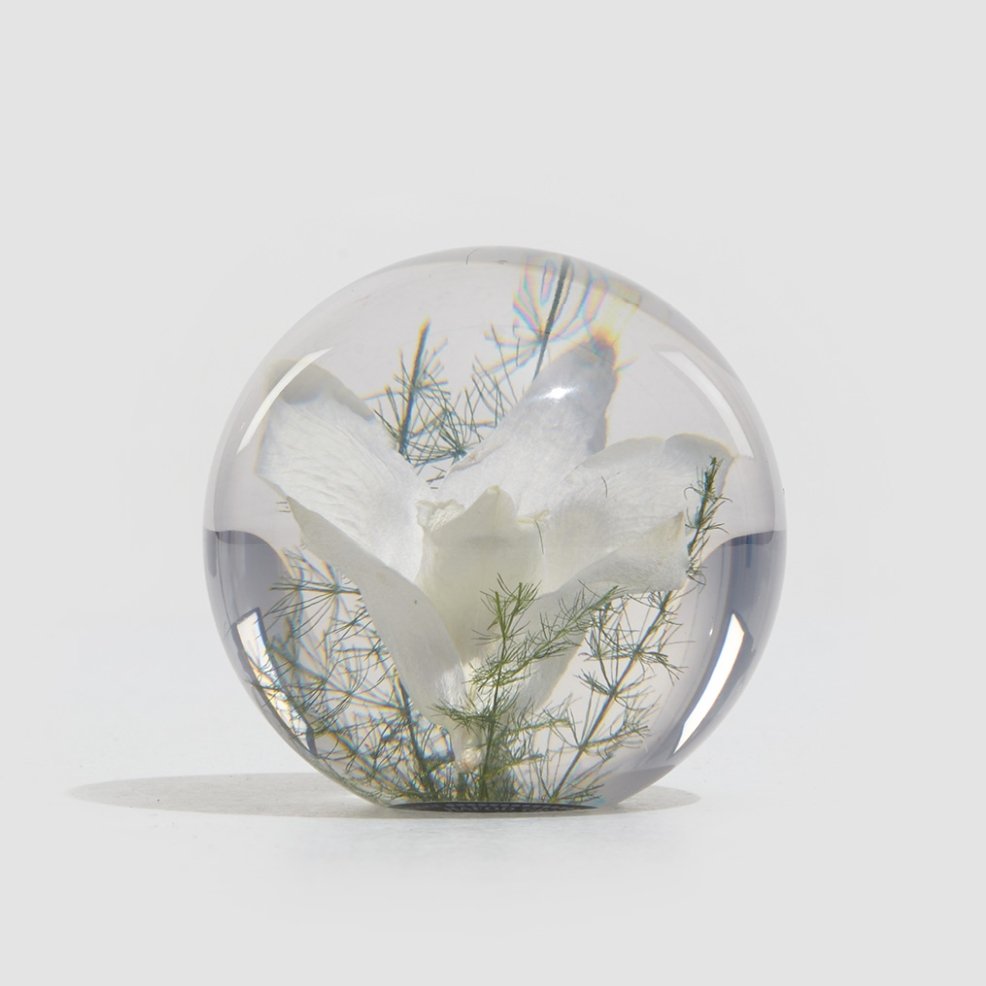 Witte orchidee Presse-papier - SuperMatique
