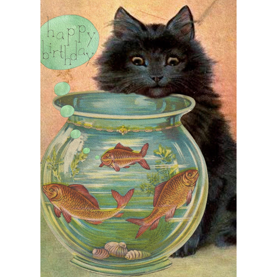 Afbeelding van een verjaardagskaart met een zwarte kat en een vissenkom met goudvissen van het merk Madame Treacle - SuperMatique