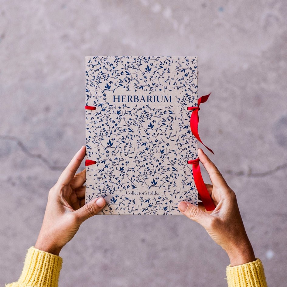 Bloemenpersset - Fábrica de Texturas - SuperMatique
